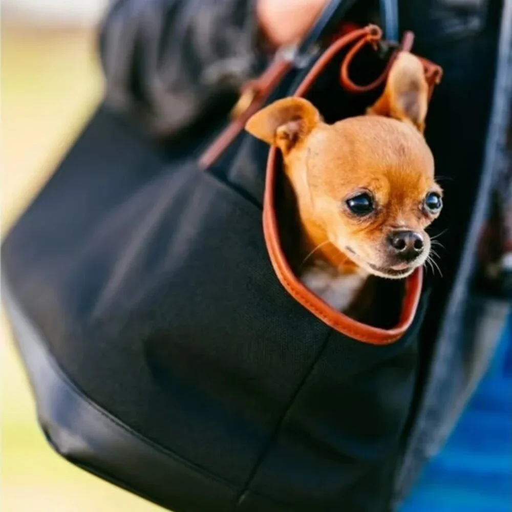 VL Dog carrier. Small to medium sized dog. Used once.